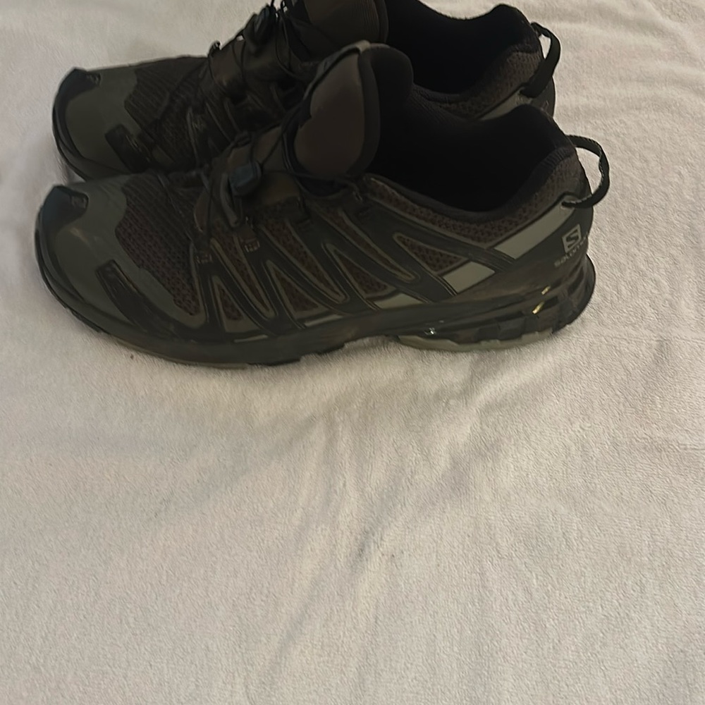 Salomon hiking shoes